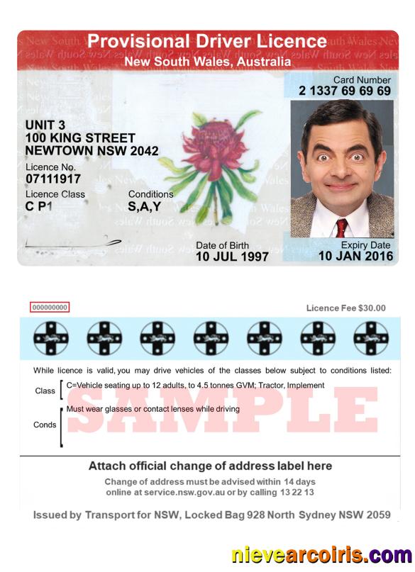 Australia New South Wales provisional driving license